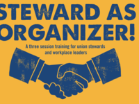 Steward as Organizer
